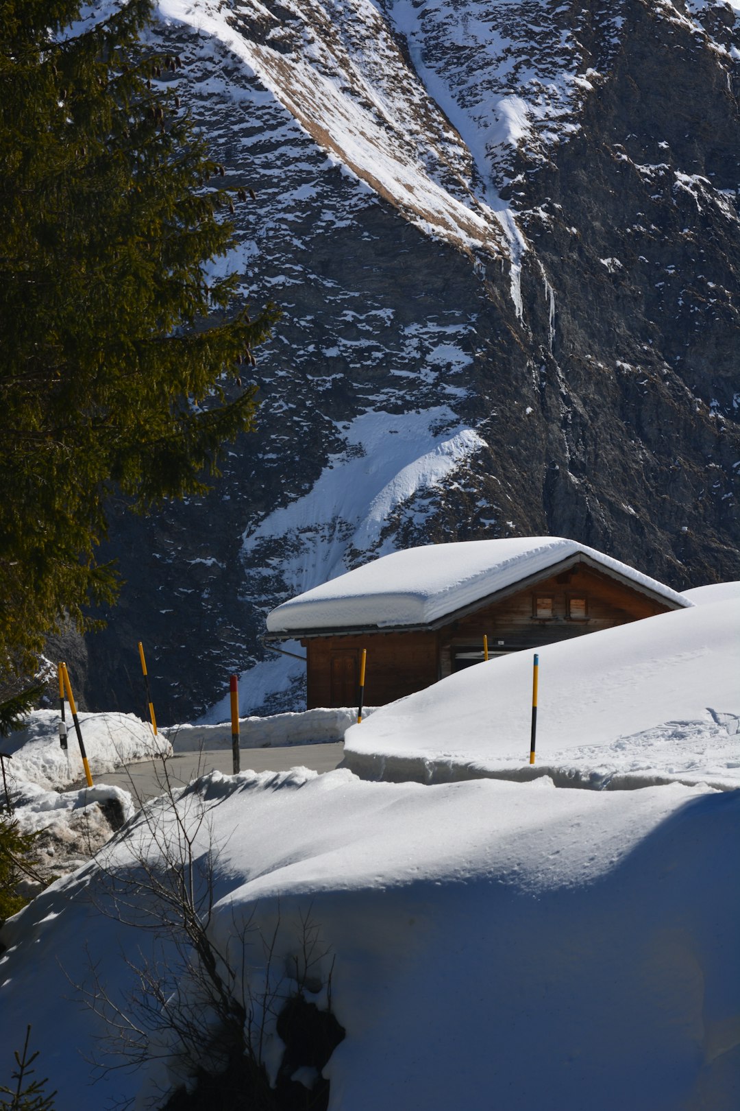 Ski Storage & Equipment Services