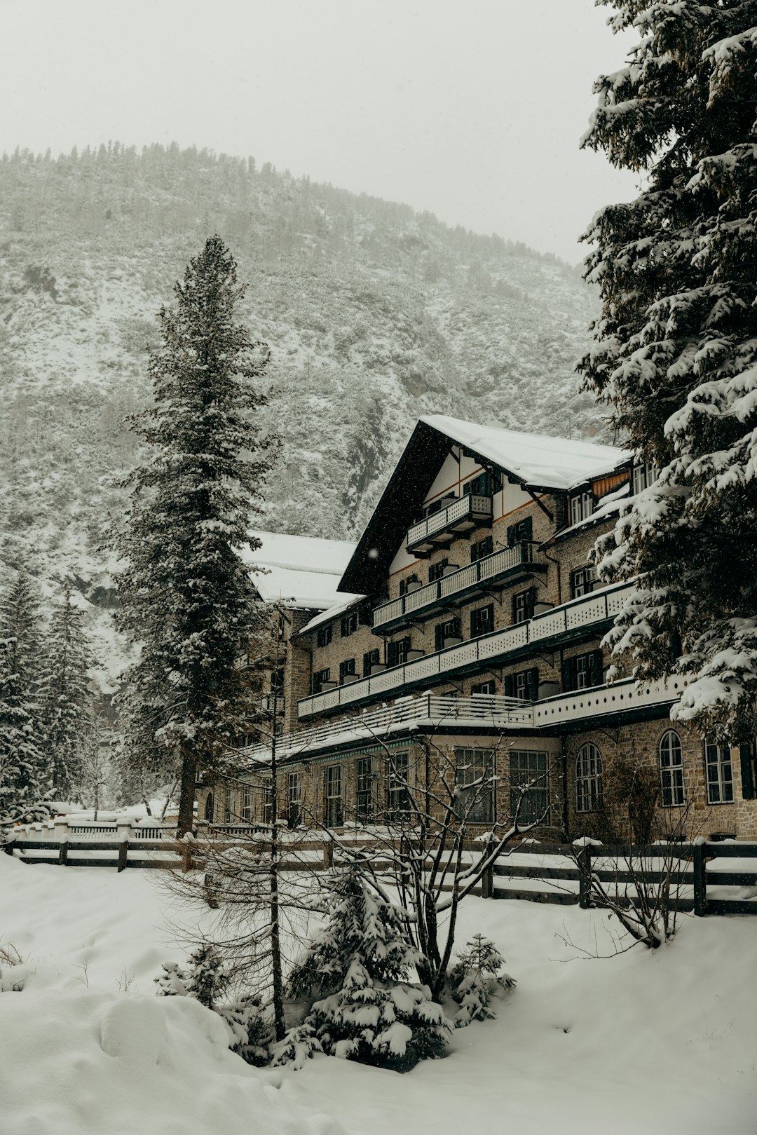 Alpine Comfort Single